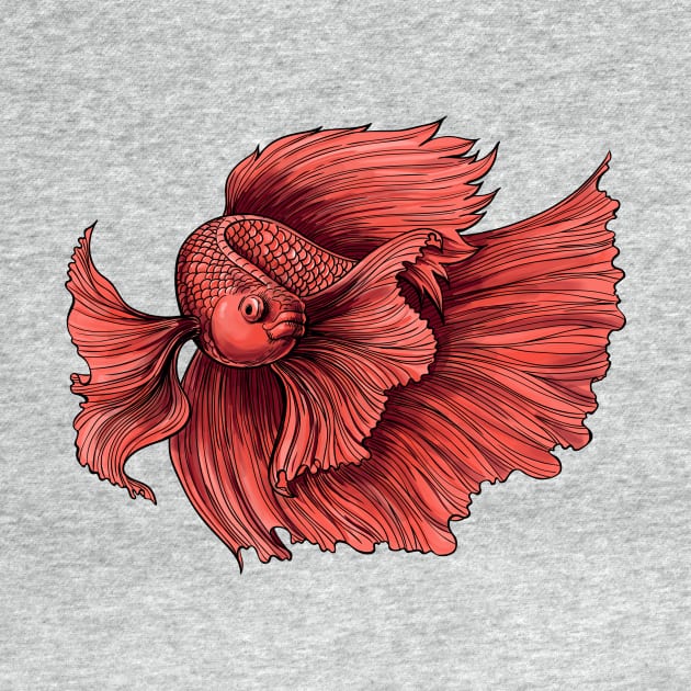 Coral Siamese fighting fish by katerinamk